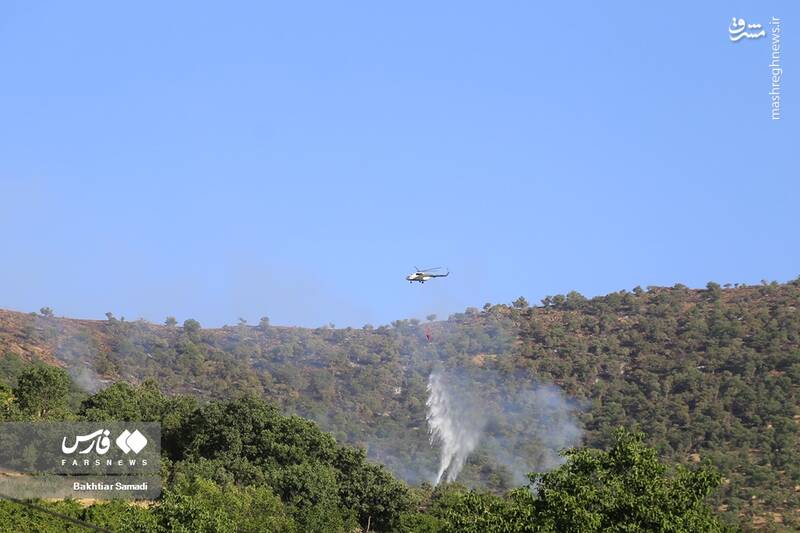 عکس/ آتش به جانِ جنگلهای مریوان