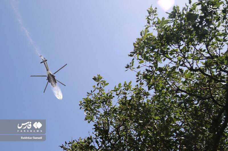 عکس/ آتش به جانِ جنگلهای مریوان