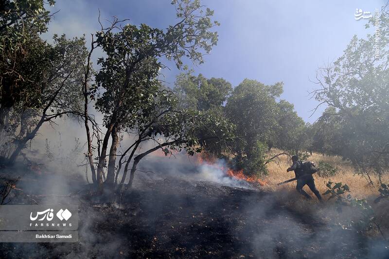 عکس/ آتش به جانِ جنگلهای مریوان