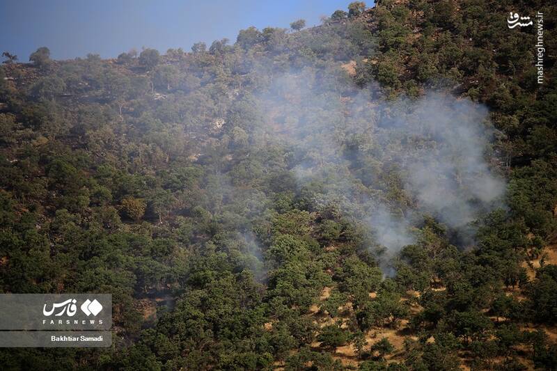 عکس/ آتش به جانِ جنگلهای مریوان