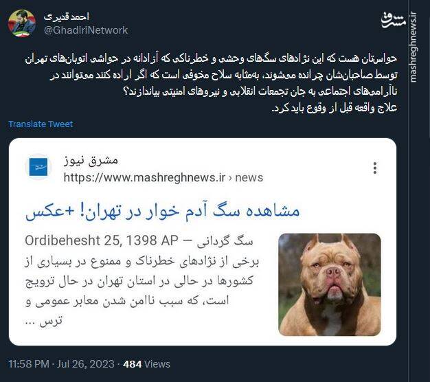 سگهای وحشی پایتخت یا سلاحی مخوف!؟