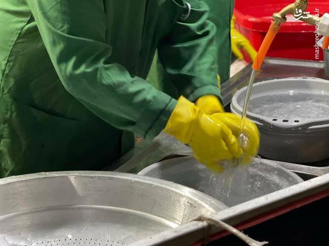 دکتر و استاد دانشگاههایی که استکان میشویند +عکس