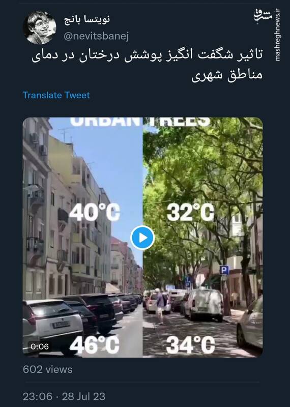 تاثیر پوشش درختان در دمای مناطق شهری+ فیلم