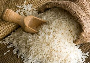 قیمت برنج ایرانی | برنج هاشمی کیلویی چند؟