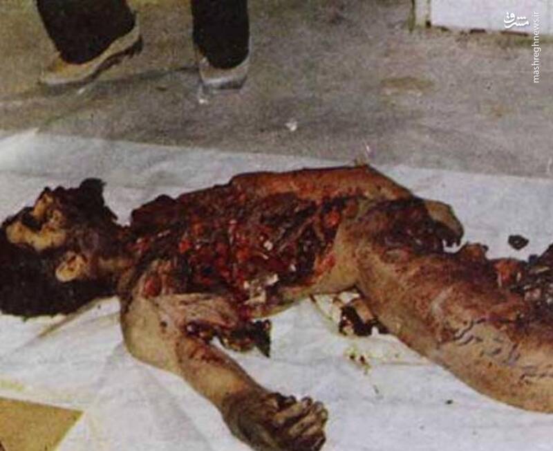 چرا دادگاه اعضای گروهک منافقین را محاکمه میکند؟ / مسعود رجوی کیست و سرنوشت مرد هزار چهره چه شد؟ / ماجرای یک کارمند ساواک که مبارز سیاسی شد! / روایتی ناگفته از دعوا بر سر زنان در قلعه حیوانات/ زن، زندگی و آزادی به روایت مریم و مسعود رجوی+ تصاویر و اسناد