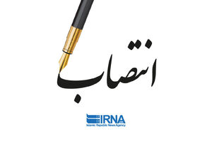 انتصاب ضدفساد در مناطق آزاد