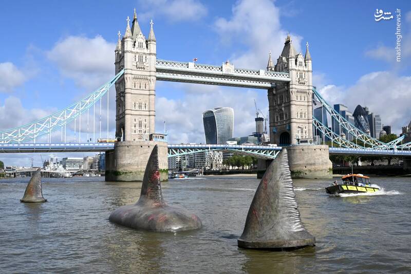 مدل‌های باله‌های مگالودون (نوعی کوسه) در رودخانه تیمز برای عکاسی فیلم Meg 2: The Trench در لندن _ انگلیس