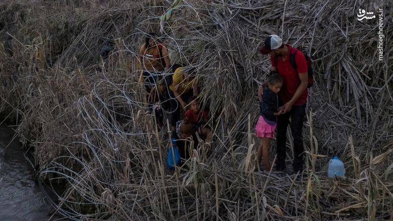 عبور پناهجویان از سیم‌خاردارهای مرز مکزیک و آمریکا