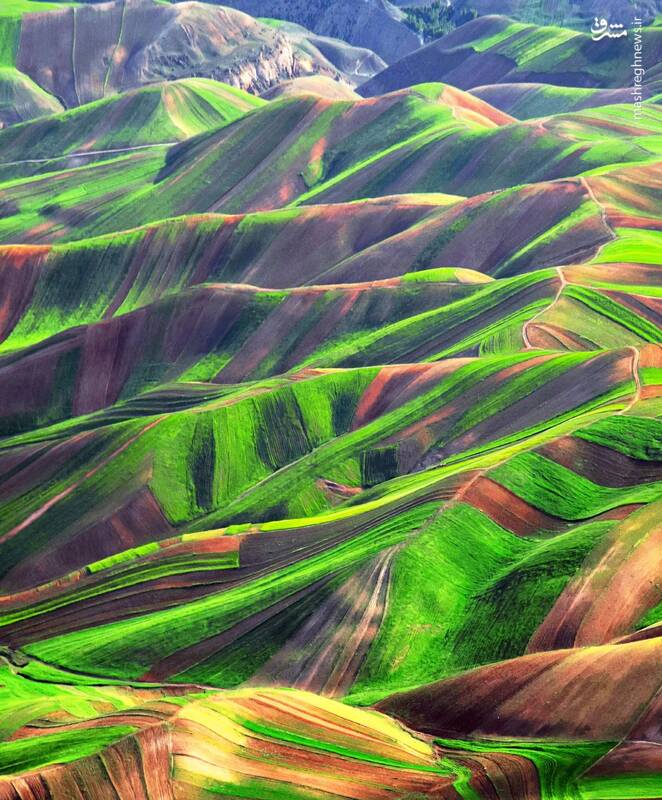 نمایی دیدنی از زمینهای کشاورزی فیروز آباد