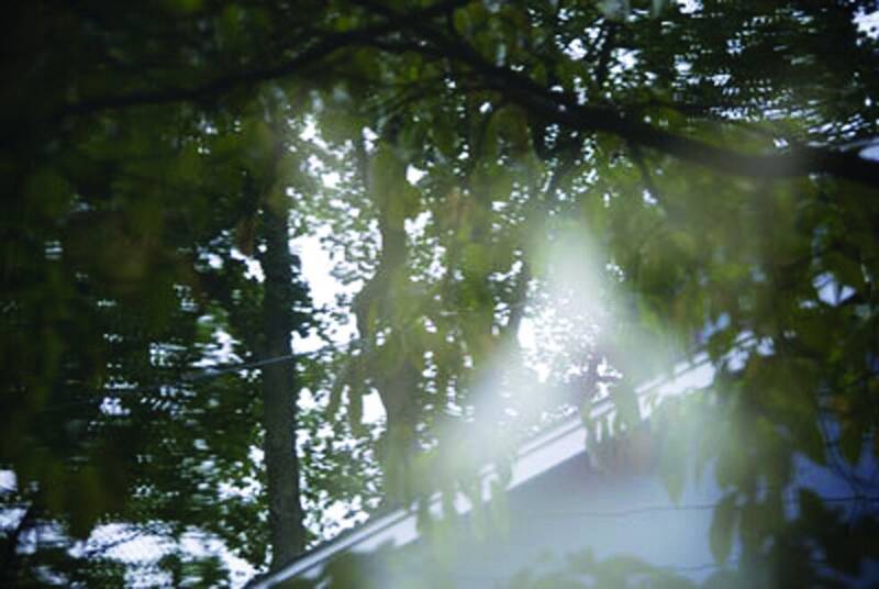 این گزارش را بخوانید شب خوابتان نمیبَرَد | مشهورترین اشباح سرگردان دنیا