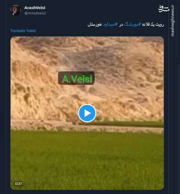 مشاهده یک یوزپلنگ در شالیزارهای باغملک میداوود+ فیلم