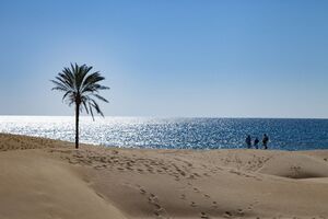 بلیط هواپیما نباید برای مردم کالای لوکس باشد / بانکهایی که نه تسهیلات میدهند نه مالیات و نه رئیس!