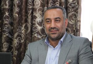81 کارچاق کن شناسایی و دستگیر شدند