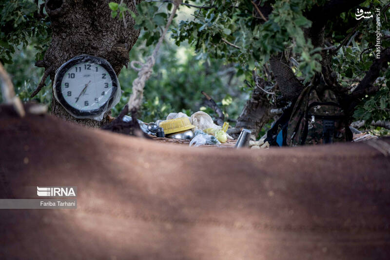 عکس/ عشایر بختیاری در ییلاق