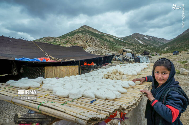 عکس/ عشایر بختیاری در ییلاق