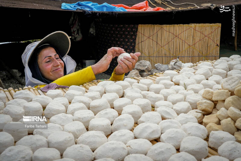 عکس/ عشایر بختیاری در ییلاق