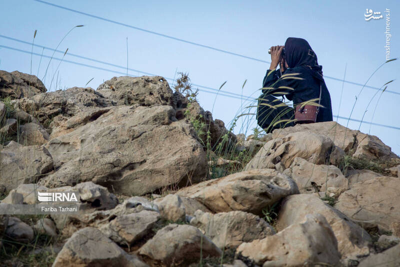 عکس/ عشایر بختیاری در ییلاق