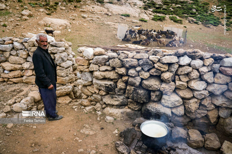 عکس/ عشایر بختیاری در ییلاق