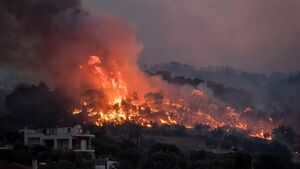 بیش از ۹۰ کشته در آتش‌سوزی‌ جنگلی هاوایی