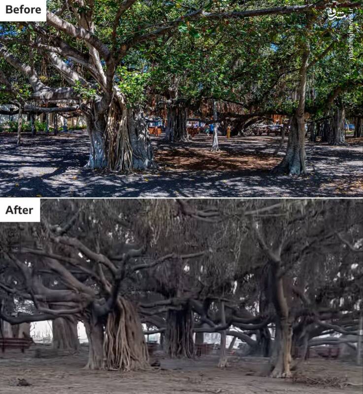 هاوایی قبل و بعد از آتشسوزی اخیر +تصاویر