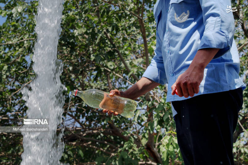 هشدار؛ آب غیر بهداشتی نخورید