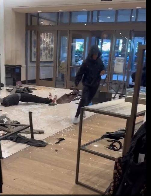 شکلگیری گَنگهای ۳۰ نفره سرقت در ابرقدرت اقتصادی دنیا+عکس و فیلم