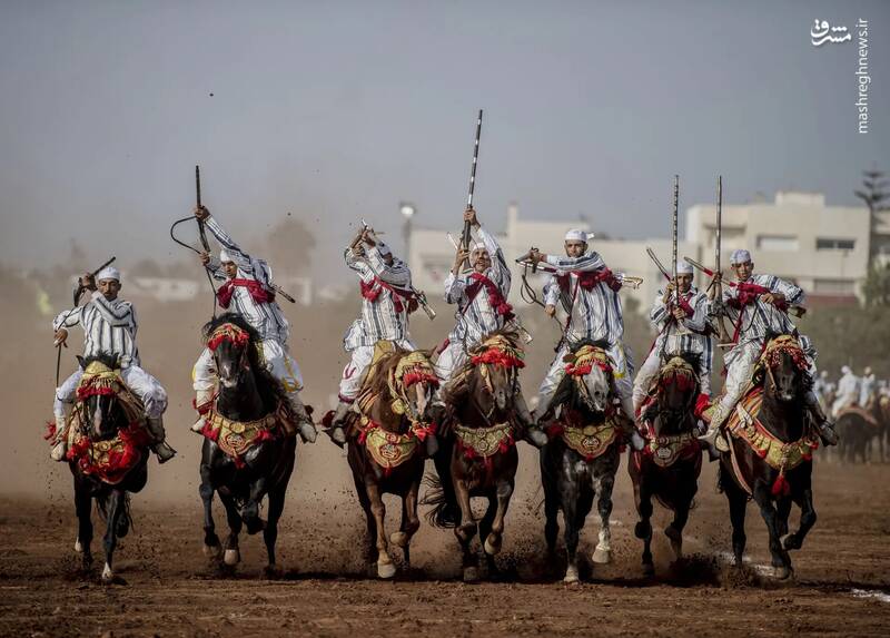 حضور تعدادی سوارکار در یک رویداد تاریخی در رباط _ مراکش