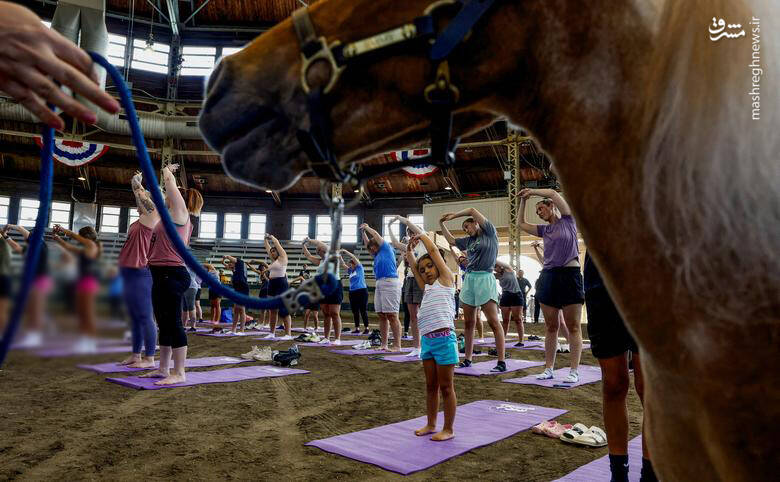 کلاس یوگا در حاشیه نمایشگاه اسب‌های مینیاتوری در نمایشگاه ایالتی دموین آیووا _ آمریکا