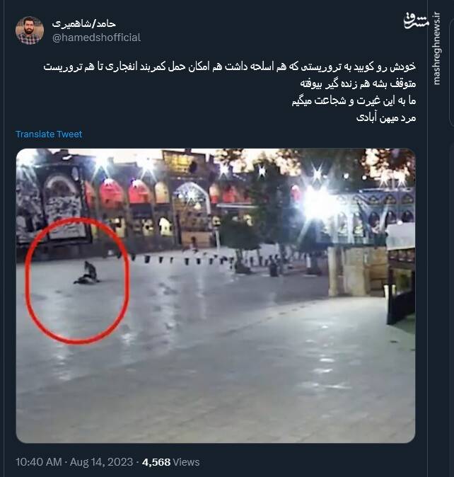 قدردانی کاربران توییتر از قهرمان شاهچراغ