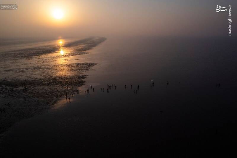 تصاویری از آغاز پیادهروی اربعین از جنوب عراق و ساحل خلیج فارس