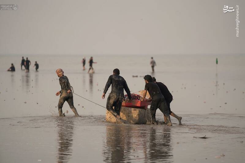 تصاویری از آغاز پیادهروی اربعین از جنوب عراق و ساحل خلیج فارس