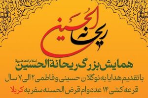 عاشقان حضرت رقیه (س) به راهگذر امیرکبیر میروند