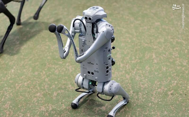 عکس / کنفرانس جهانی رباتیک 2023 19