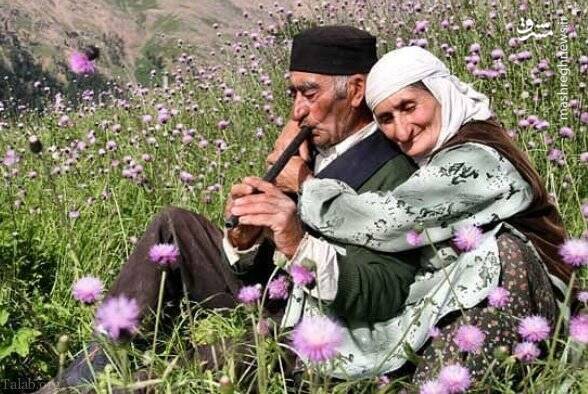 چرا «نباید» سر پیری معرکهگیری کرد؟ 2