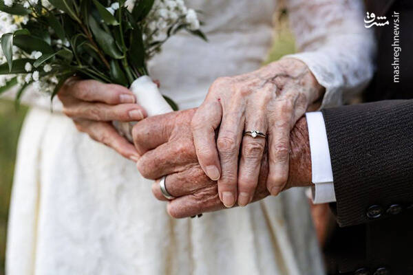 چرا «نباید» سر پیری معرکهگیری کرد؟ 3