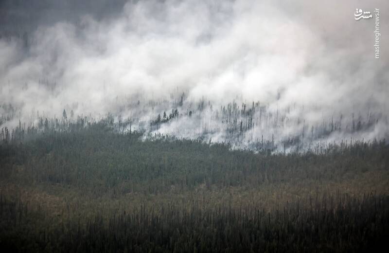 شعله‌های آتش در جنگل‌های اینترپرایز _ کانادا