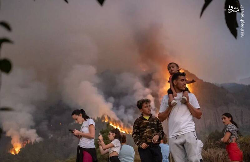 سرگشتگی اهالی شهر آگوامانسا از آتش سوزی جنگل‌ها در جزایر قناری _ اسپانیا