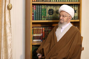 آیت الله مکارم شیرازی: هم در راهپیمایی شرکت کنید و هم دیگران را به حضور دعوت کنید