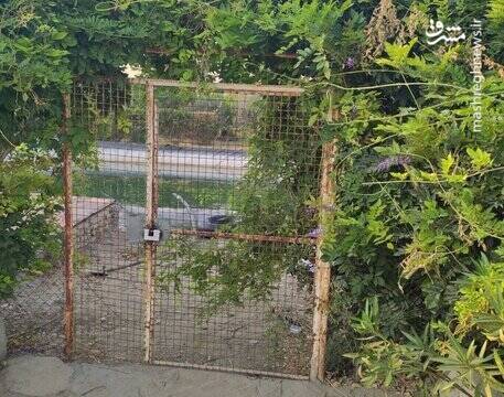 جزئیات غرق شدن ۲ کودک در حوضچه پارک زیتون