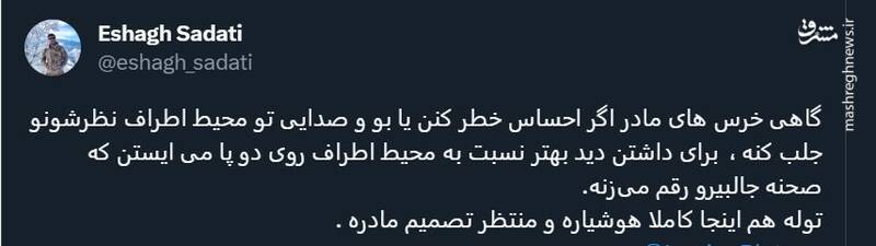ثبت تصویری دیدنی از لحظه احساس خطر یک خرس