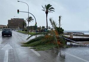 وقوع طوفان مهیب در جزیره مایورکای اسپانیا
