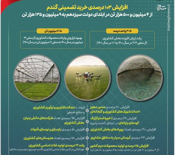 حفظ امنیت غذایی در بحران جهانی غلات