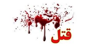 برملا شدن یک کشته سازی دیگر بعد از 10 ماه / قاتل محمد حسنزاده که بود؟