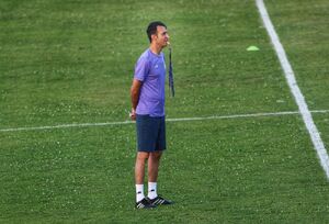 عنایتی: زمان طلایی را از دست دادیم