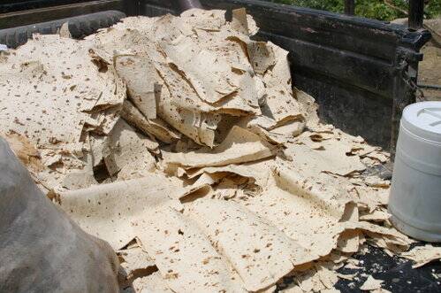 برکت خانه های دیروز، دورریز سفره های امروز / وقتی نان را به اشتباه دور میاندازیم