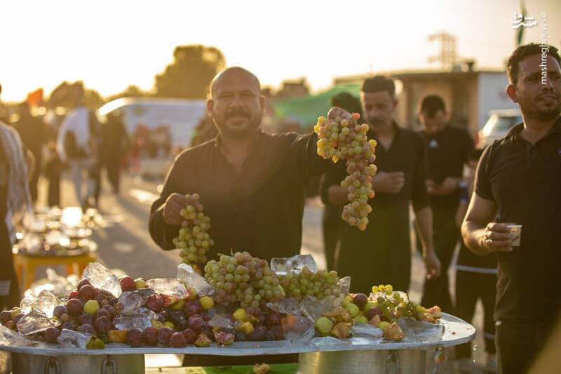 هله بزوار الحسین + تصاویر 2