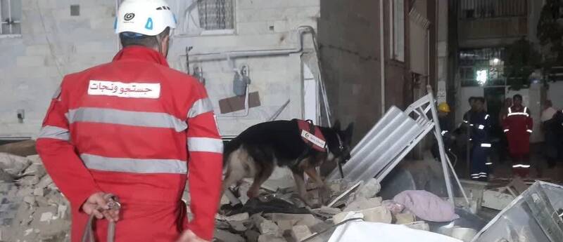 اعزام سگ‌ زنده یاب برای یافتن مفقودی‌های احتمالی ریزش ساختمان در ملارد