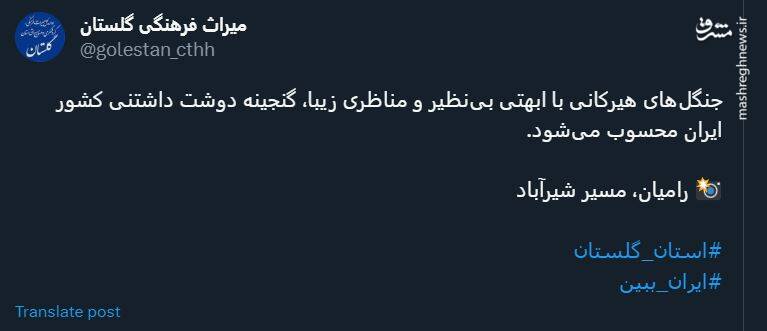 ابهت بی نظیر جنگلهای هیرکانی به روایت تصویر