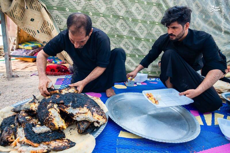 تصاویری از مهمان نوازی ویژه عراقیها از زوار حسینی