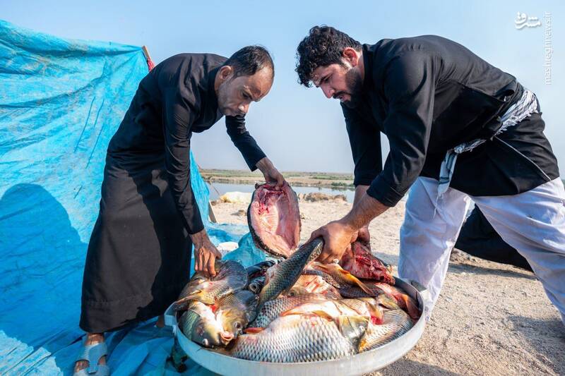 تصاویری از مهمان نوازی ویژه عراقیها از زوار حسینی